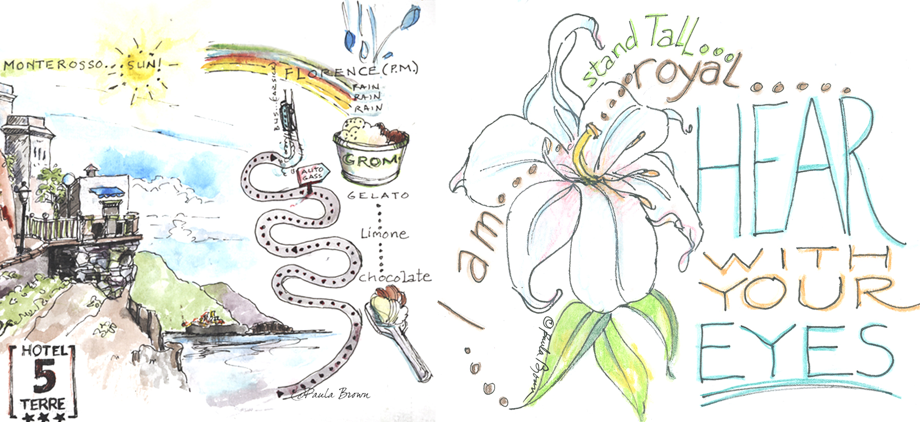 Art Journal and Forest Therapy